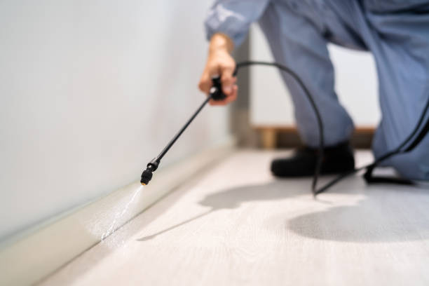 Licensed Pest Control service in Newark, NY - Show Me Pest Control