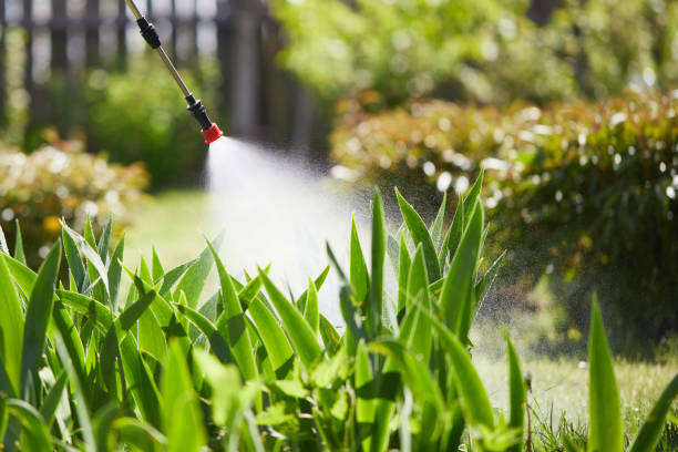 Tamper-Resistant Bait Stations for Rodents in Newark