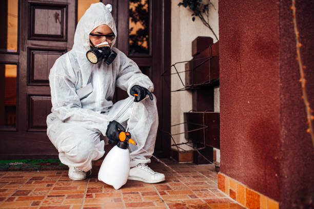 Attic and Crawl Space Rodent Treatment in Newark