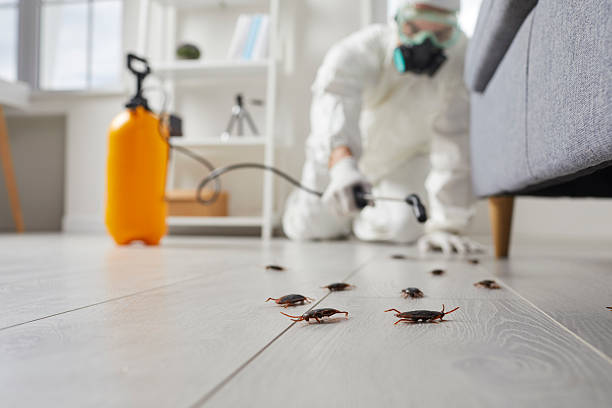 Commercial Rodent Management in Newark